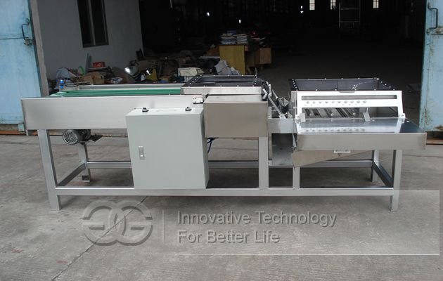 Wafer Biscuit Production Line