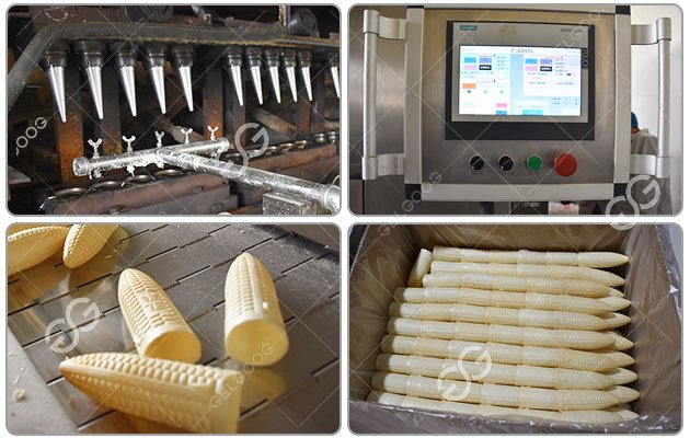 Automatic Ice Cream Wafer Cone Line