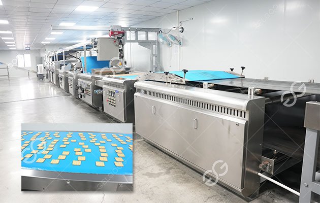 Fully Automatic Biscuit Making Plant